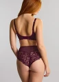 Majtki Panache Allure Deep Brief 10764 Plum