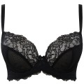 Panache Ana